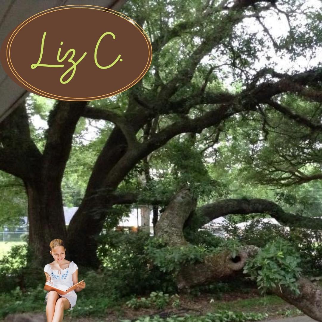 A young girl reads beneath an oak tree, as Liz did in her childhood.