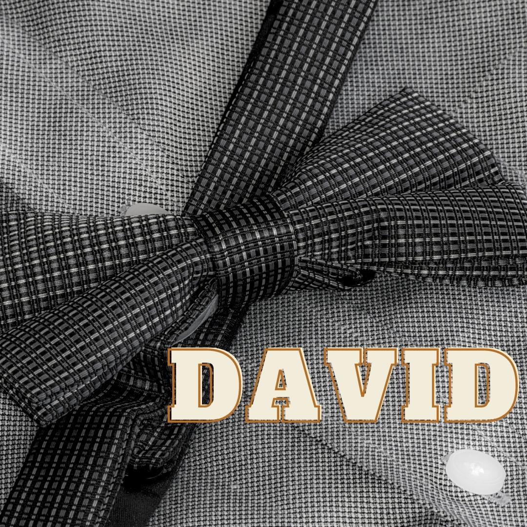 A shirt and bowtie represent David’s fine characteristics.