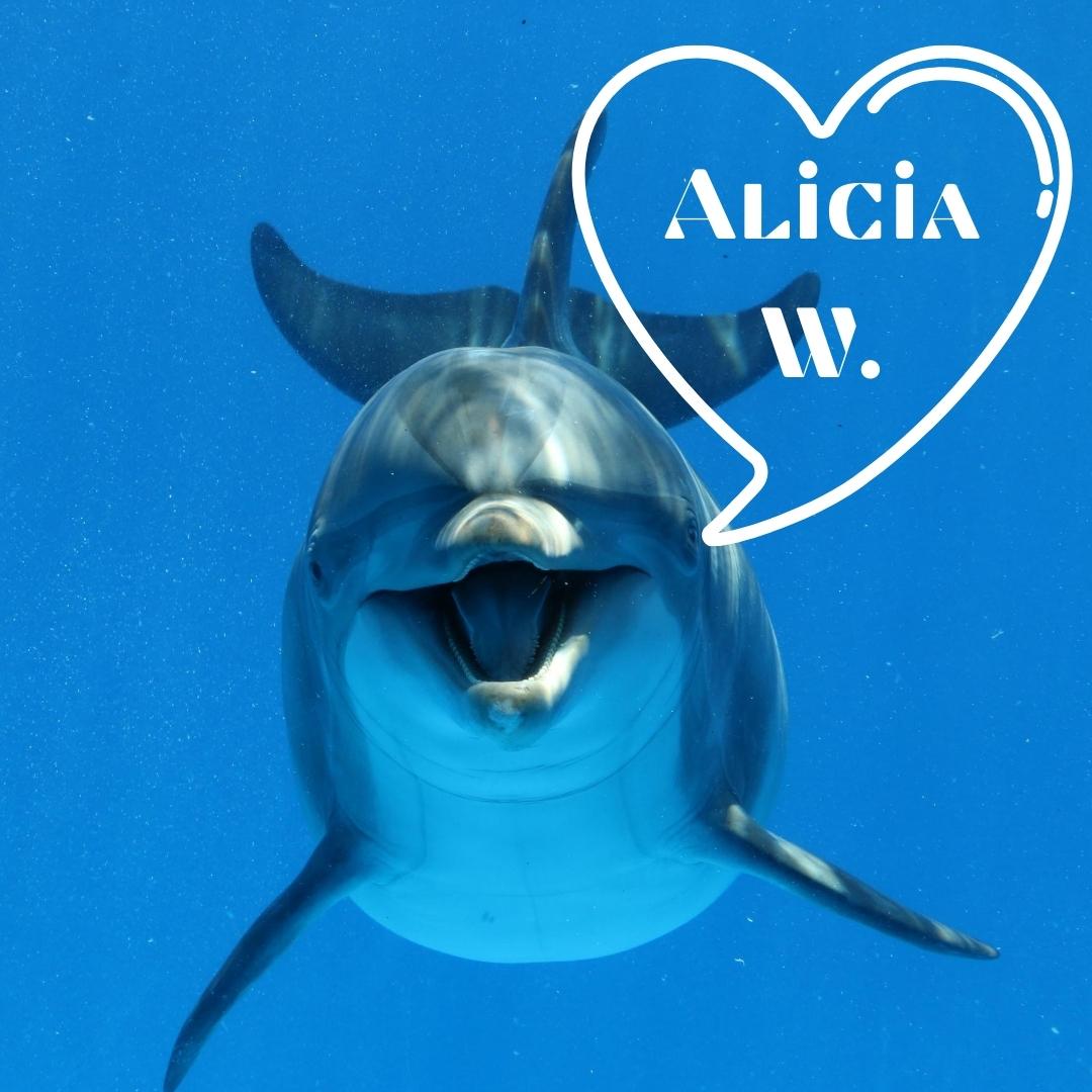 A friendly dolphin swims toward the camera—it is one of Alicia’s favorite animals.