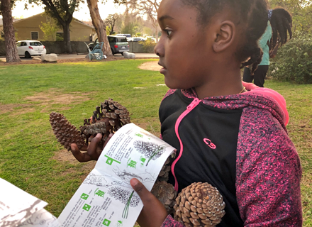 a kid participating in a biometry class outside the library