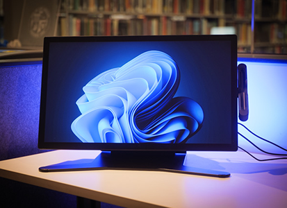 Digital Illustration