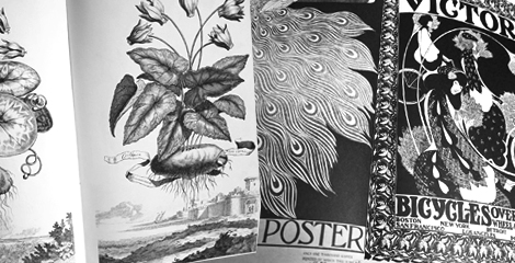 floral ink drawings from art books