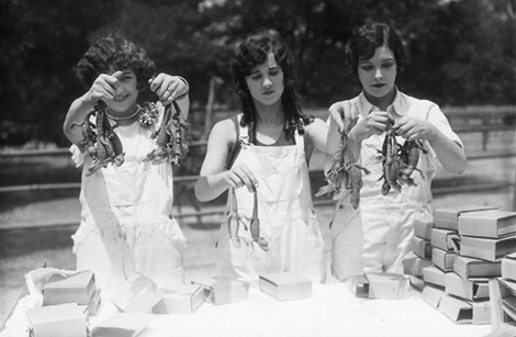 Women with baby alligators