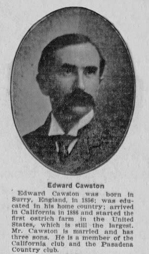 old newspaper clipping of Edward Cawston