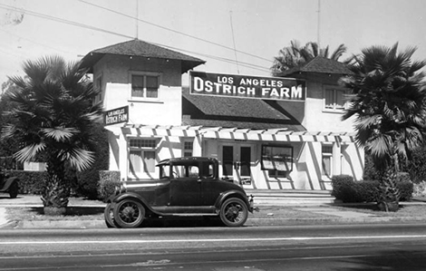 Los Angeles Ostrich Farm exterior