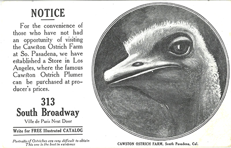 Postcard announcing the opening of a retail store in Downtown Los Angeles