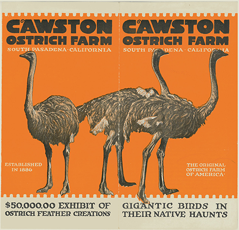 Orange Cawston Ostrich Farm pamphlet