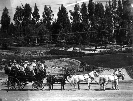Carriage ride in Elysian Park