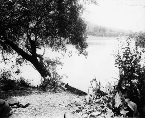 Beside the lake in Elysian Park