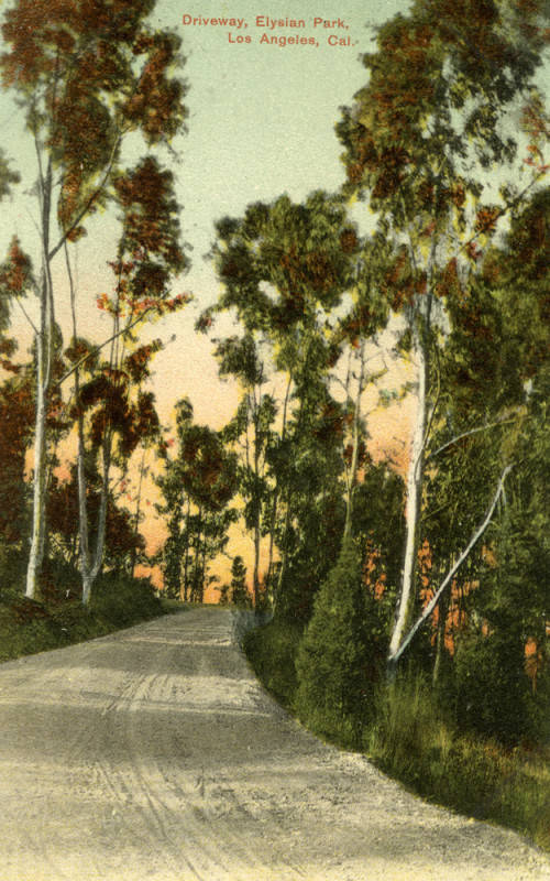 Scenic road in Elysian Park