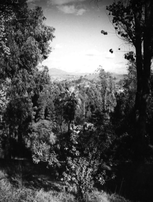 View from Elysian Park