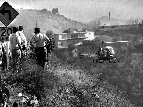 Massive police search gets underway in Hollywood Hills for murder clues