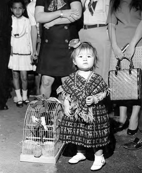 Crowds of people clebrating in the Plaza and on Olvera Street
