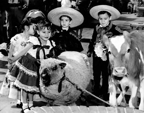 Four children and sheep at Blessing of the Animals