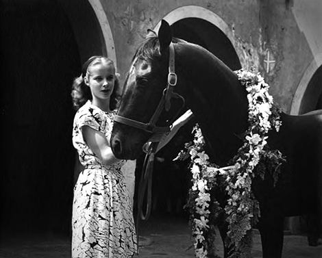 Girl with horse at Blessing of the Animals