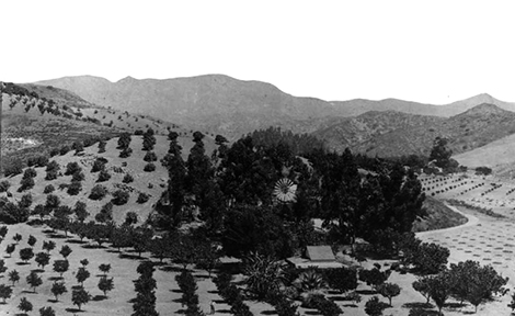 View of Krotona Hill