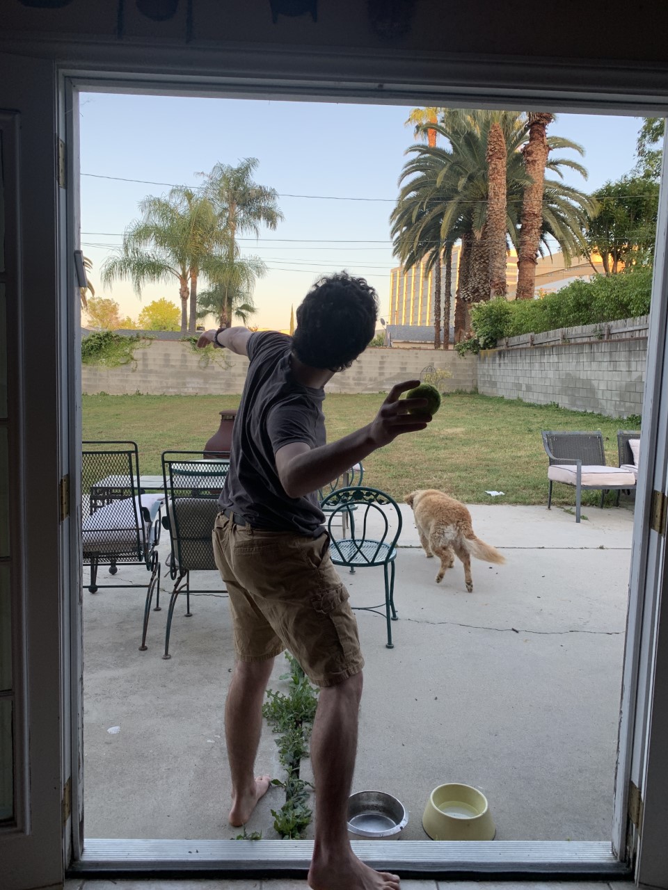 boy playing fetch in his yard