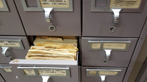 close up of a card catalog drawer