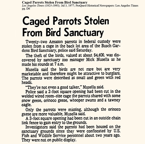 vintage newspaper