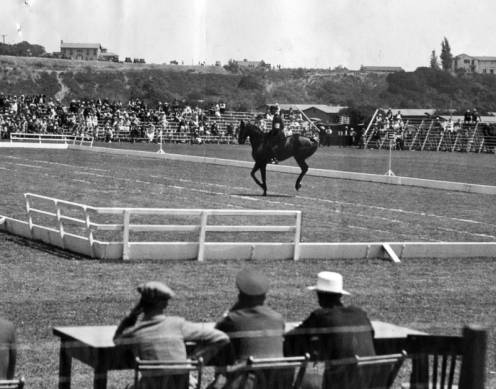Olympic equestrian games