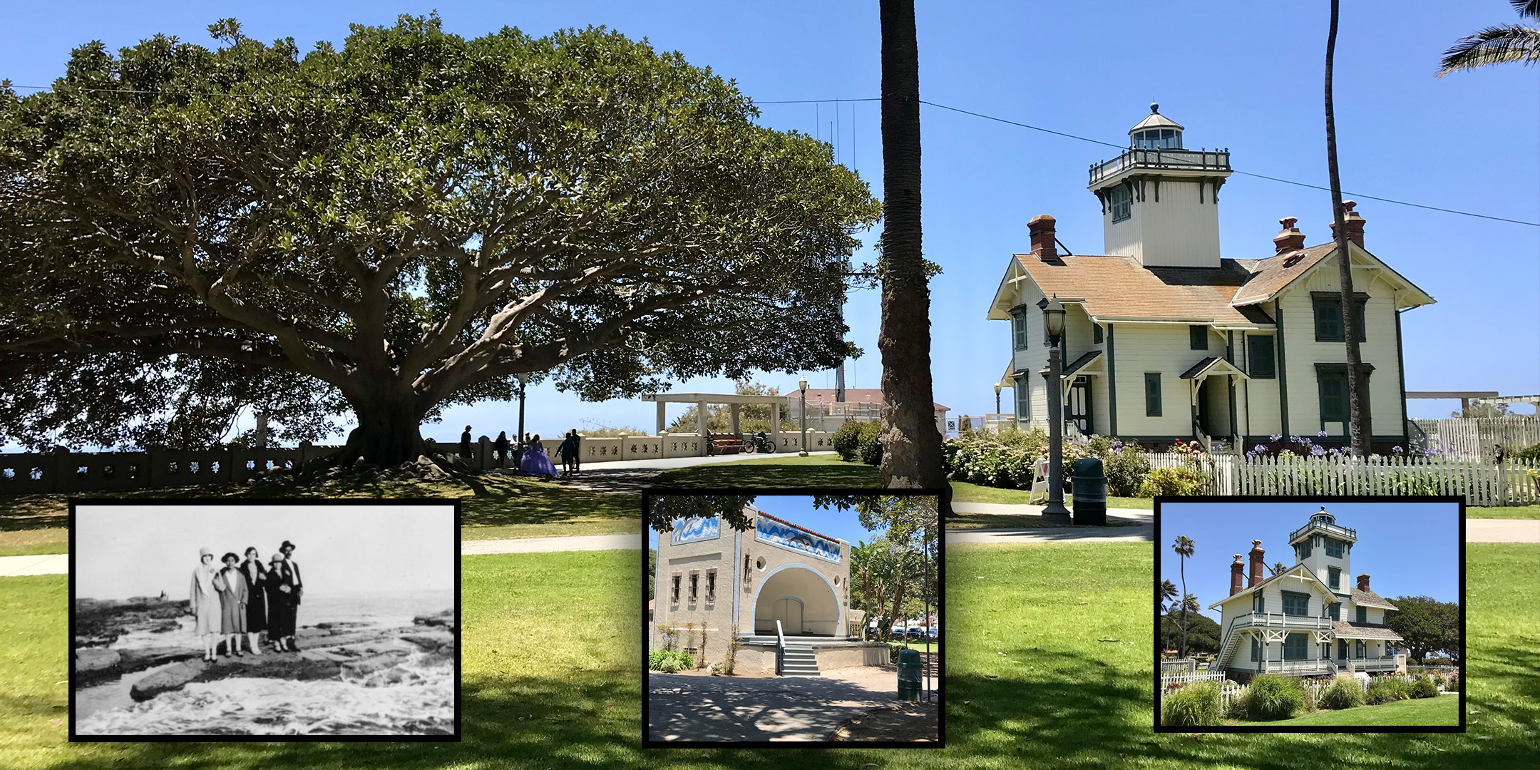 iews of Point Fermin Park, including the lighthouse and the Moreton Bay fig tree that stands next to it
