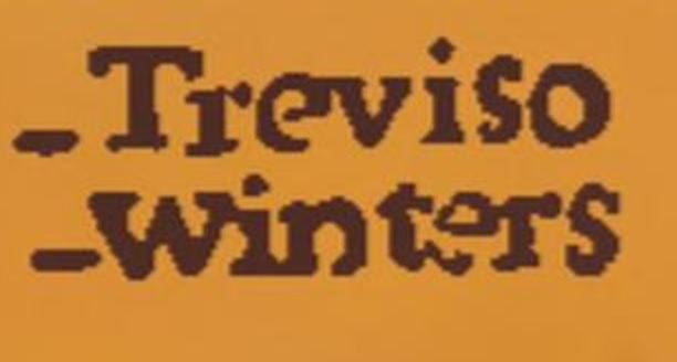 A close-up of Treviso and Winters' signature