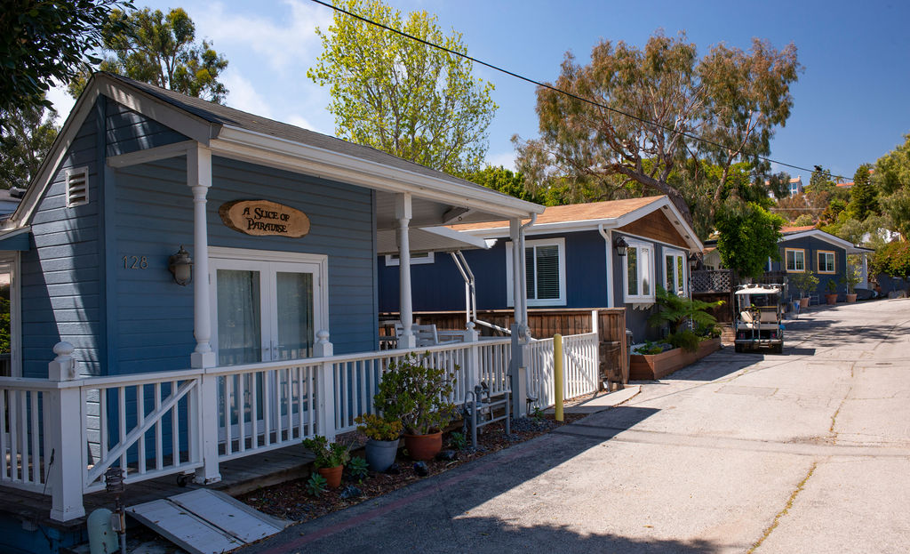 a cabin in paradise cove