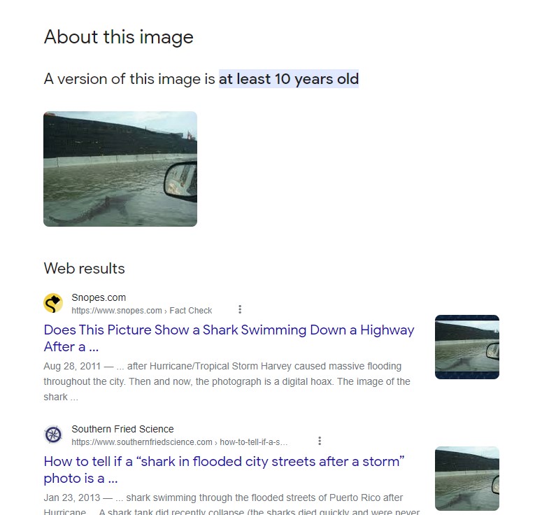 Screenshot of the results from clicking on About this image while doing an image search for “Hurricane Shark”