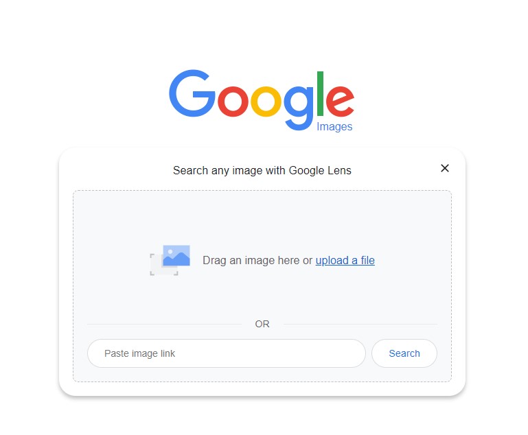 Screenshot of Google Lens