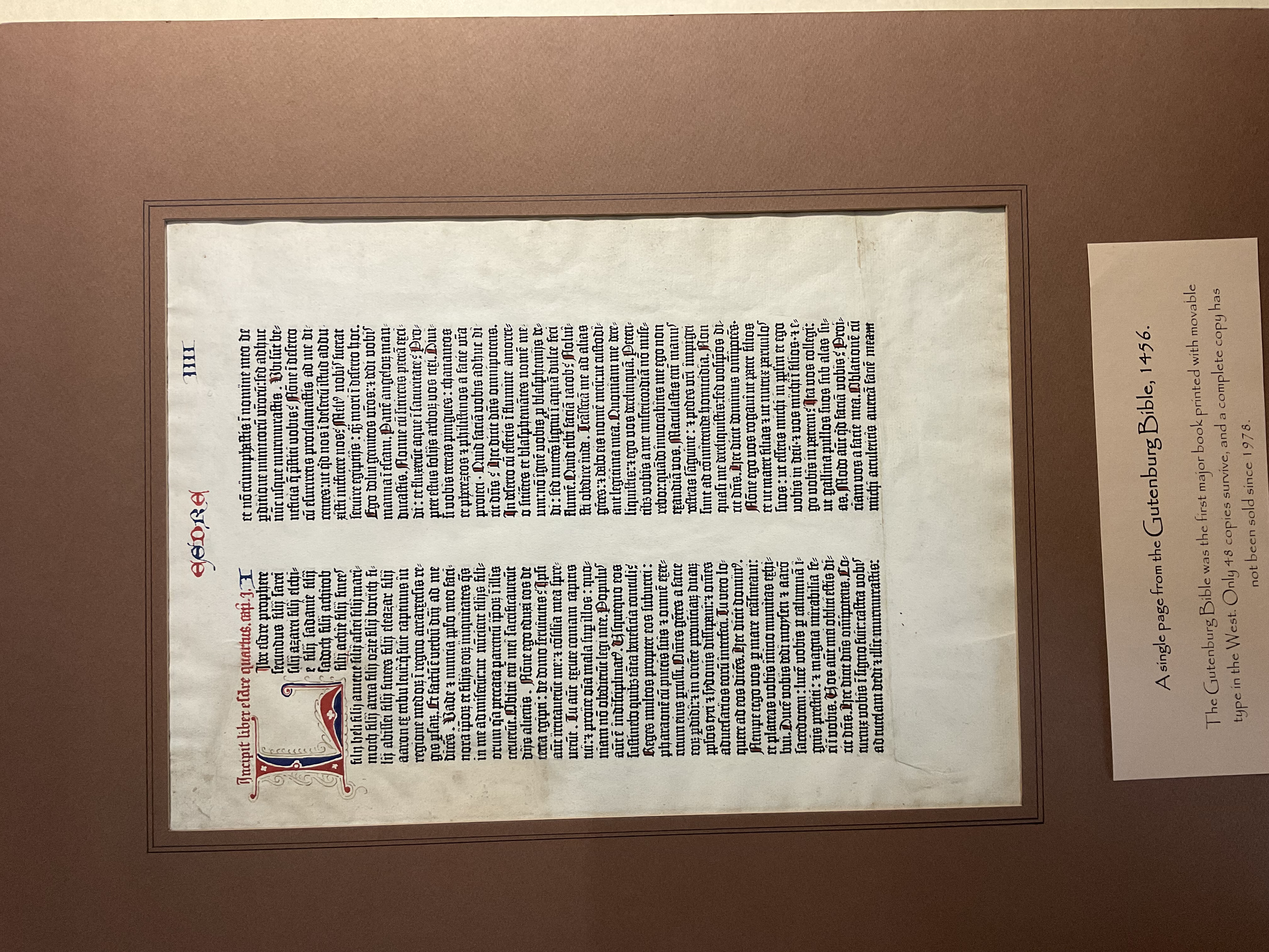 Noble fragment from the Gutenberg Bible