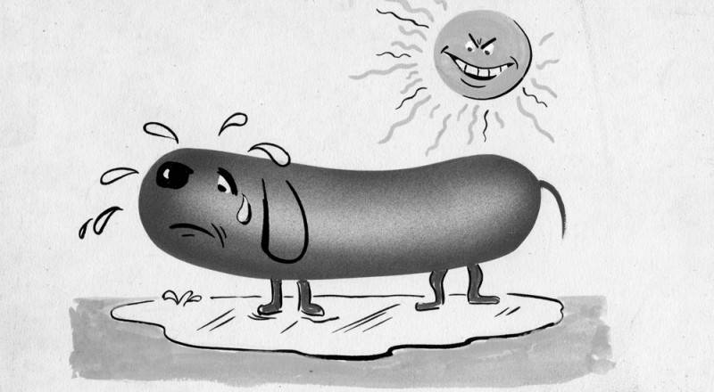  drawing of a hotdog by artist Bob Hyde