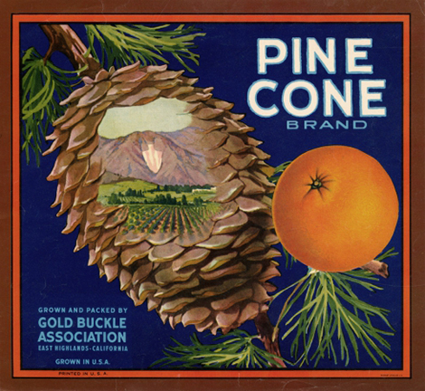 Pine Cone with orange grove pictures inside