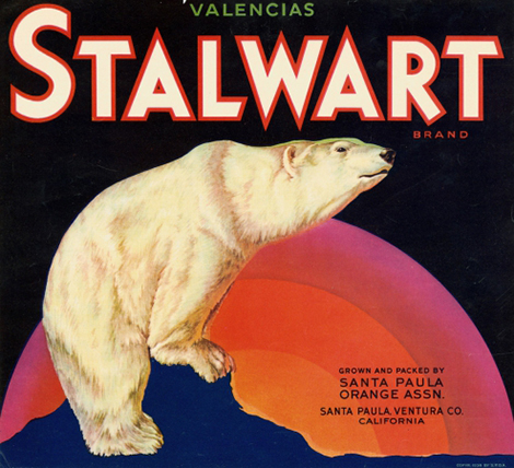Polar Bear hugging a rainbow