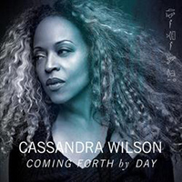 a photograp of Cassandra Wilson, a partial side profile