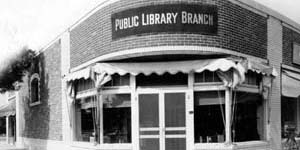 Branch Photo