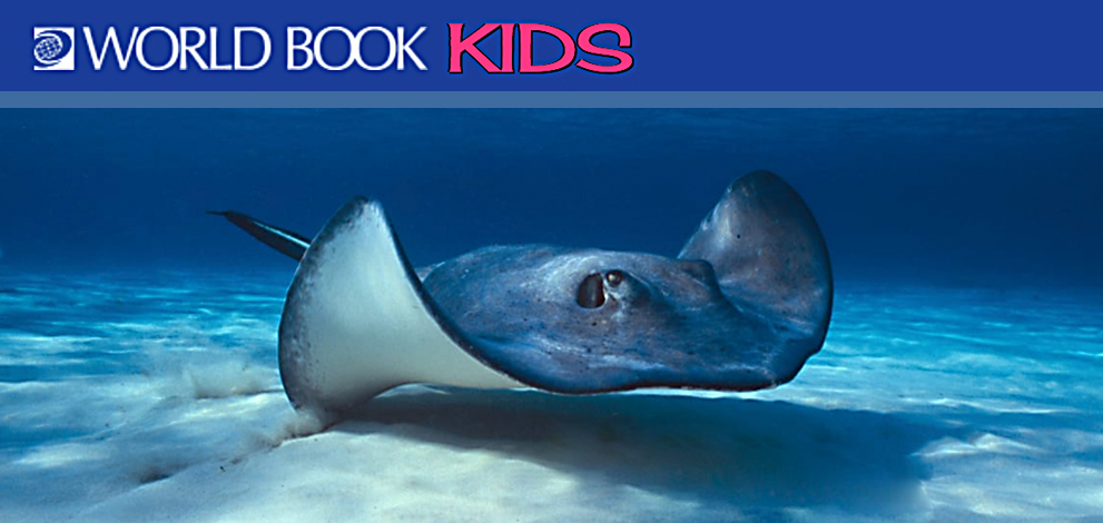 world book kids logo and image of manta ray