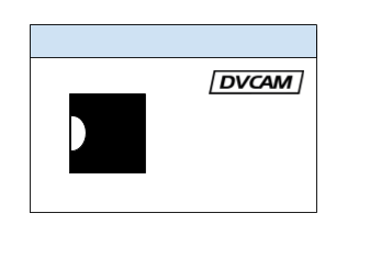 icon of dv