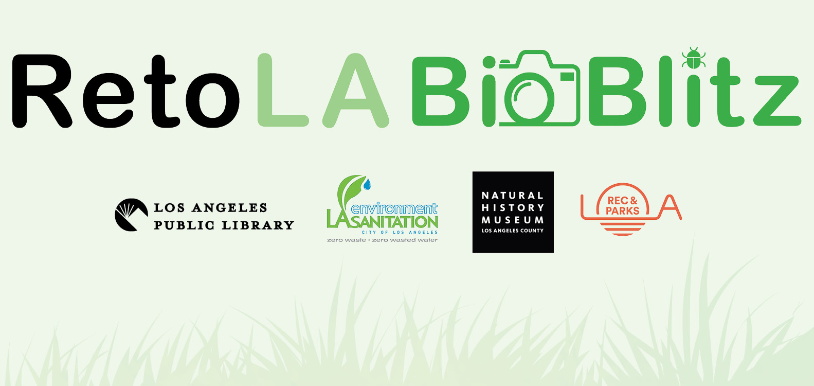 bioblitz challenge