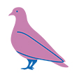 a light purple pigeon icon