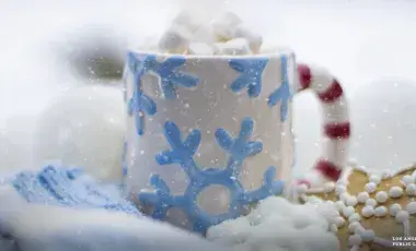 cup of hot cocoa with marshmallows