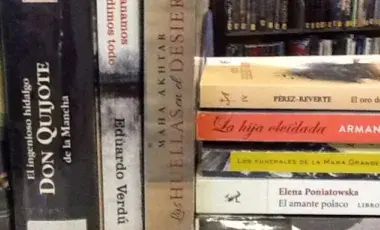 image shows a number of Spanish language books