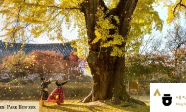 A woman under a tree with a building in the background.