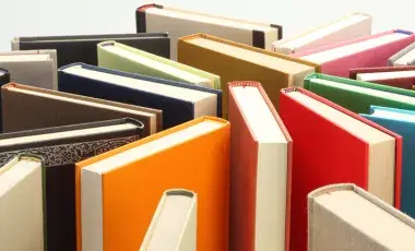 several books standing vertically