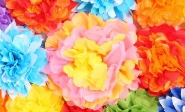 Colorful tissue paper flowers.