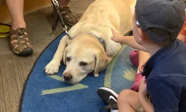 Child pointing to a dog lying on the ground 