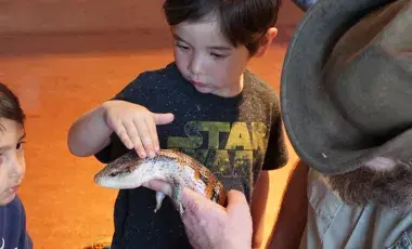 A child looks curiously at a reptile while another kid gently touches the reptile's tail.