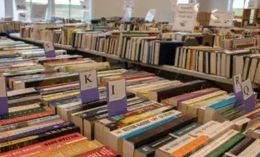 Assortment of books organized for a book sale