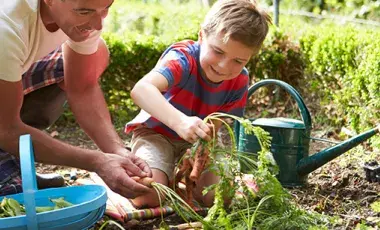 father and son planting