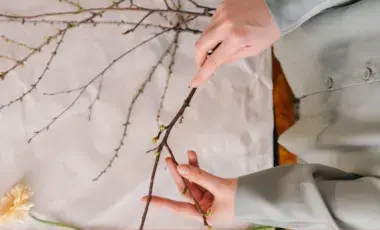 cutting flowers