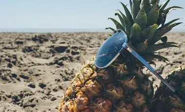 A color picture of a pineapple on the beach, wearing sunglasses